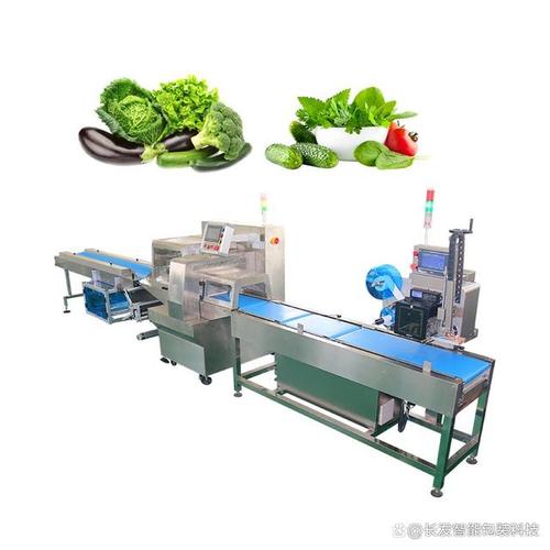 自动蔬菜包装机械